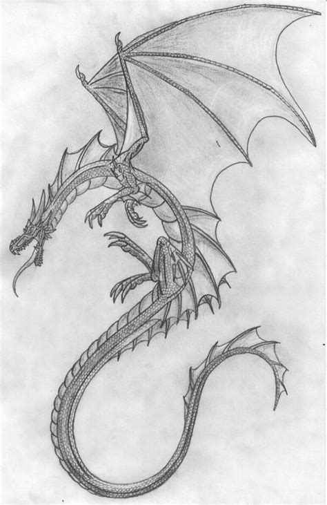 dragon para dibujar facil|More.